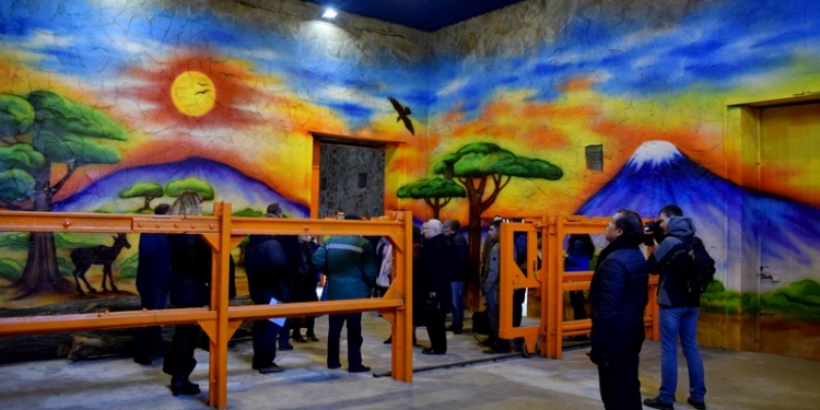 Жирафы, слон и «Остров зверей»: на конференции УАЗА директор Николаевского зоопарка рассказал о планах