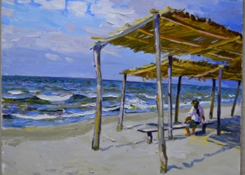 Вернуться в лето: в Николаеве открылась выставка «Кинбурн – любовь моя»-2