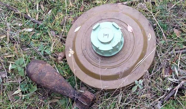 И старое, и новое: на Николаевщине во время прогулки можно найти боеприпасы и времен ІІ Мировой войны, и современные