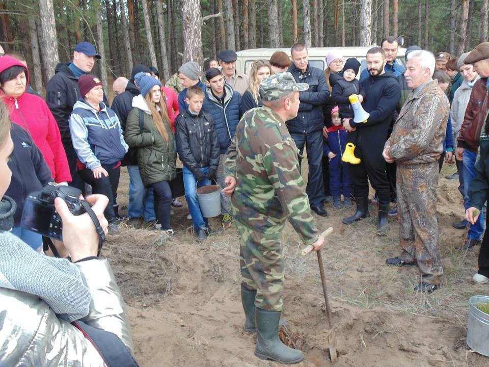 На Николаевщине волонтеры высадили около 20 тысяч сеянцев крымской сосны 6