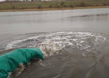 В Благодатненское водохранилище на Николаевщине выпустили 62 тысячи мальков карповых