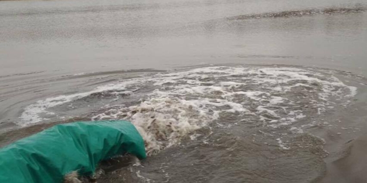 В Благодатненское водохранилище на Николаевщине выпустили 62 тысячи мальков карповых