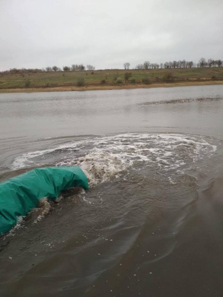 В Благодатненское водохранилище на Николаевщине выпустили 62 тысячи мальков карповых 4