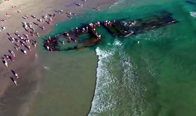 Не «Летучий голландец», а «Любовь Орлова»? На пляж Калифорнии вымыло остов судна с сотнями крыс