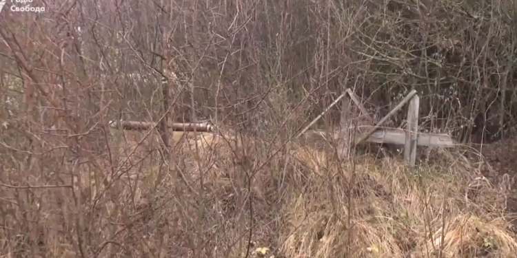 В одной яме. Тайное кладбище жертв Голодомора рассекретили на Луганщине