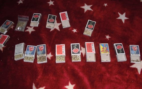 Все себе. У ранее судимого николаевца изъяли марихуаны на 57 тыс.грн. и “посевной материал”