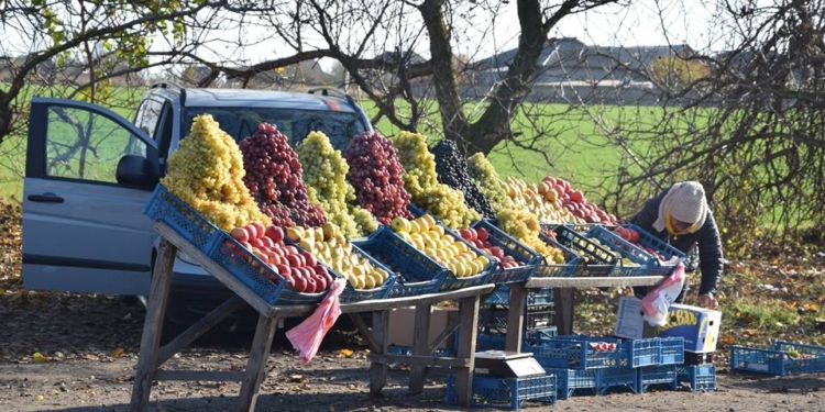 Савченко предложил построить крытую площадку для выносной торговли на одесской трассе в районе Коблево