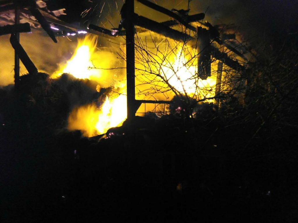 В Николаевской области огонь уничтожил 10 тонн соломы 3