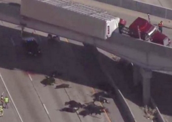 Коровий десант: с моста на автомобили упали 25 коров