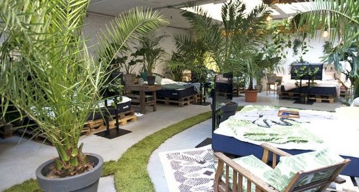 В Амстердаме открыли бар “Похмелье”