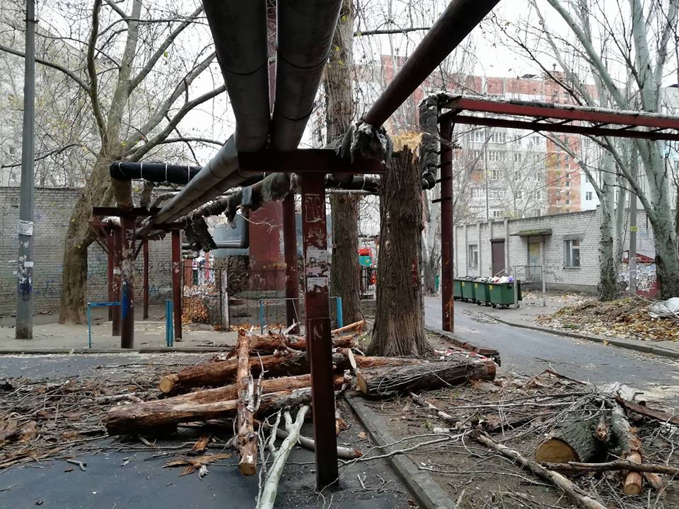 Не было бы счастья: рухнувший на дом в Николаеве аварийный тополь, который жильцы дома давно просили снести, теперь убран 5