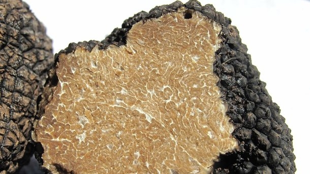 Если есть немного денег и много терпения. Какой перспективный бизнес можно начать в Украине