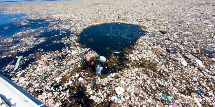 Вот за что нам мстит планета. Огромные острова мусора и бытового пластика в Карибском море