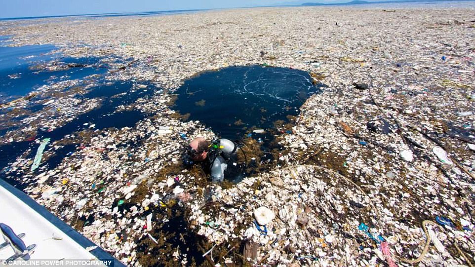 Вот за что нам мстит планета. Огромные острова мусора и бытового пластика в Карибском море 3