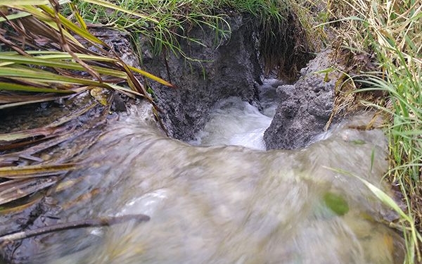 В районе Трускавца продолжает проваливаться земля – образовался очередной провал