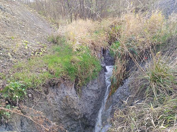 В районе Трускавца продолжает проваливаться земля - образовался очередной провал 1