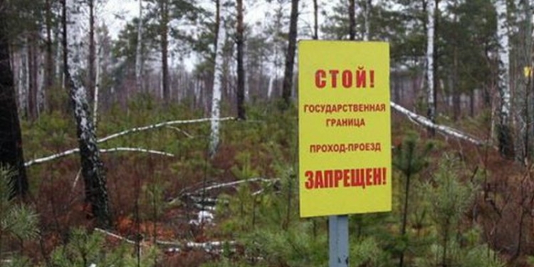 Пограничники Беларуси задержали украинцев, собиравших ягоды