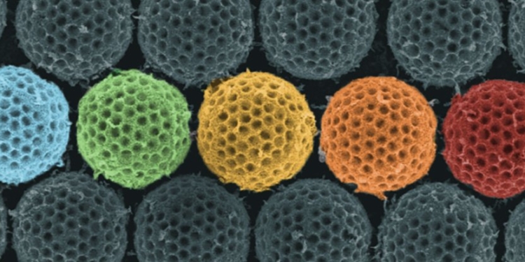 Современный плащ-невидимка: ученые создали материал, поглощающий 99% света