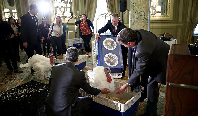 Две индейки для Трампа. Одну в печь, другую помилуют