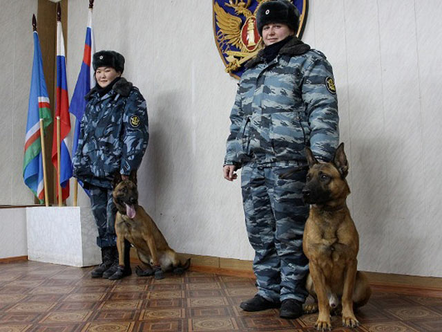 В РФ клонированных собак используют для охраны зэков 3