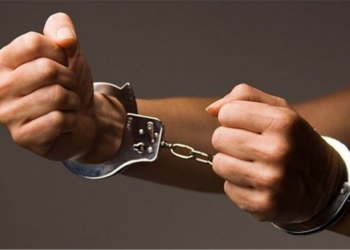 В США полиция арестовала украинскую активистку