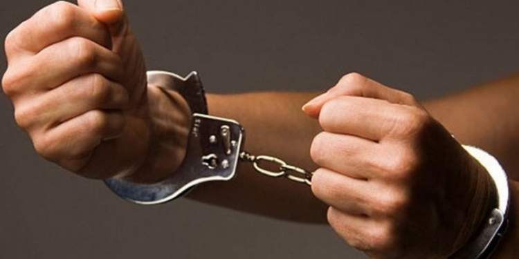 В США полиция арестовала украинскую активистку