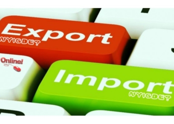 На долю IT-бизнеса приходится меньше 1% всего экспорта услуг Николаевской области