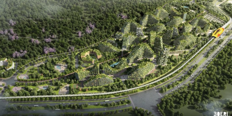 Первый в мире лесной город готовы построить в Китае
