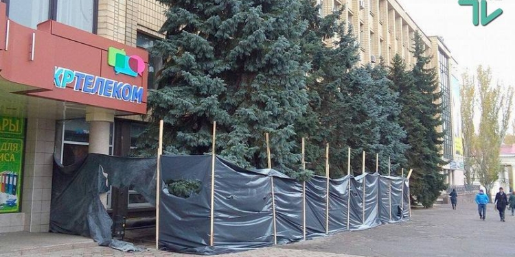 «Нужно разбираться по этому вопиющему факту и определять, кто выполнил такого вида работы» – Корчагов об обрезке елей в центре Николаева