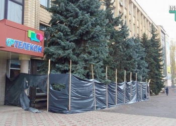 Прокуратура проверит законность обрезки краснокнижных деревьев в центре Николаева
