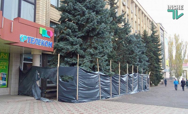 Прокуратура проверит законность обрезки краснокнижных деревьев в центре Николаева 3