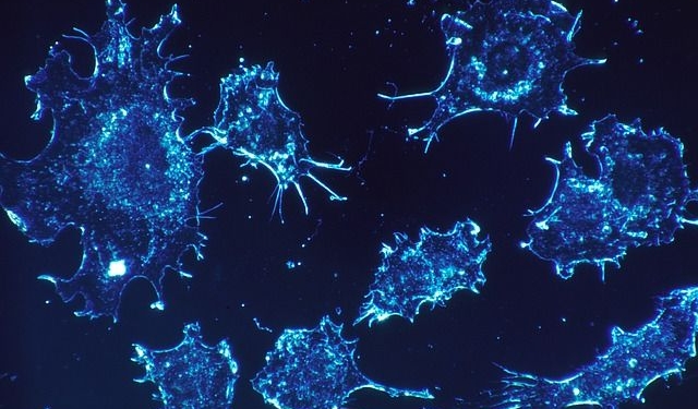 Ученые математически доказали, что старение человека неизбежно