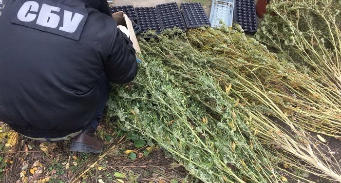 СБУ разоблачила группу наркоторговцев на Николаевщине, “работавшую” по всей стране