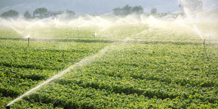 На Николаевщине проведут инвентаризацию орошаемых земель и оросительной системы