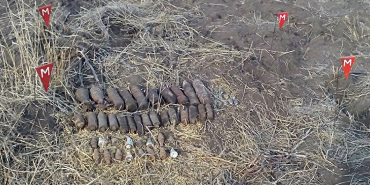 На Николаевщине саперы завершили сезон: обезвредили 56 мин и снарядов