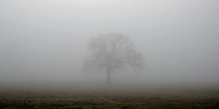 Николаеву на завтра обещают туман и сильный ветер