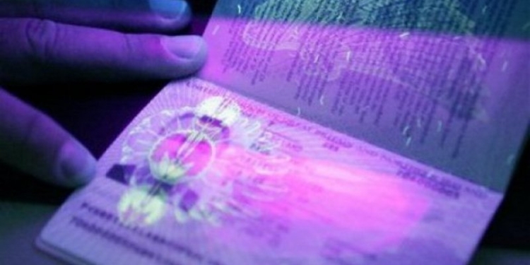 В РФ появился новый тип визы для получения разрешения на временное проживание