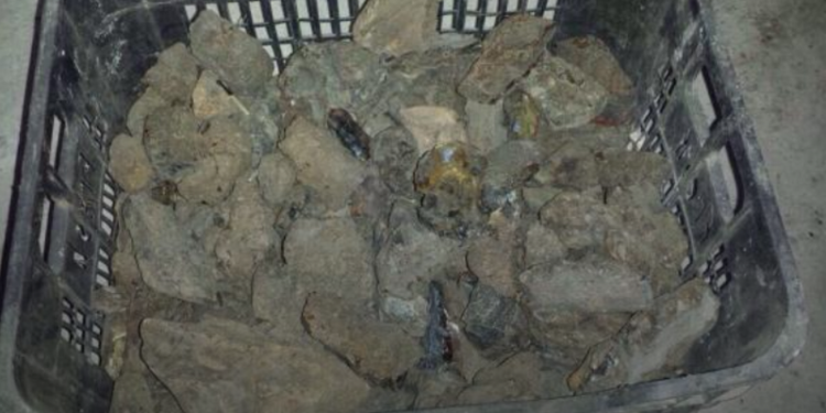 На Волыни полиция изъяла 200 кг незаконно добытого янтаря стоимостью более 1 млн грн