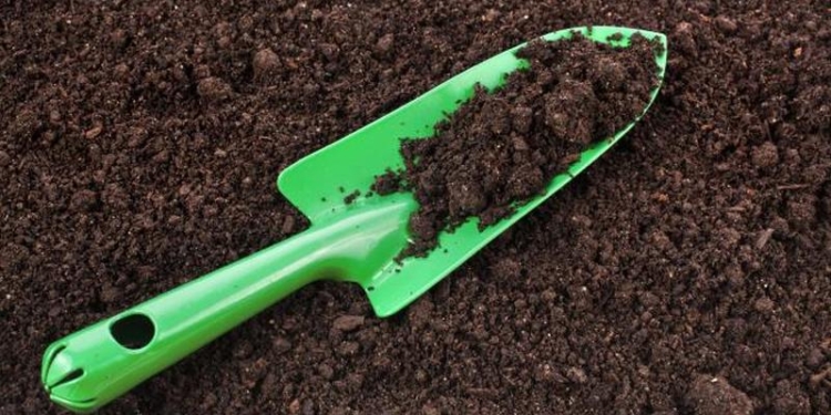 Кабмин подал в Раду законопроект, который позволит органам местного самоуправления распоряжаться государственными землями