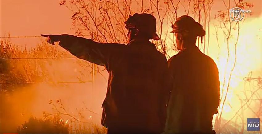 Пожары в Южной Калифорнии: эвакуировано уже 200 тысяч человек 1