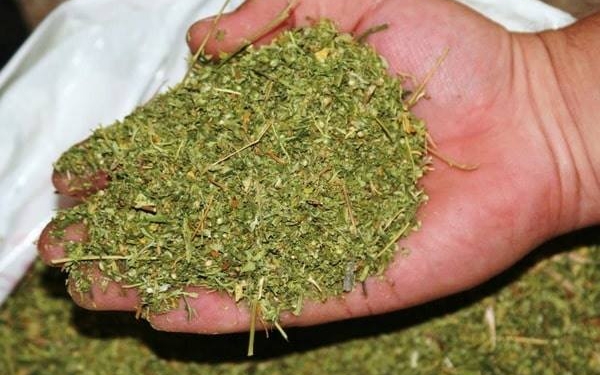 На Николаевщине у местного жителя изъяли 1,7 кг конопли