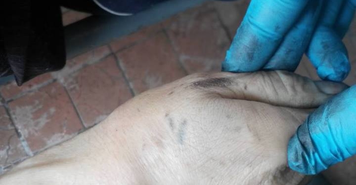 В Первомайске в заброшенном доме неподалеку от автовокзала полицейские нашли труп мужчины