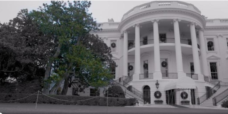 Мелания Трамп осмелилась снести легендарную, но аварийную 200-летнюю магнолию у Белого дома