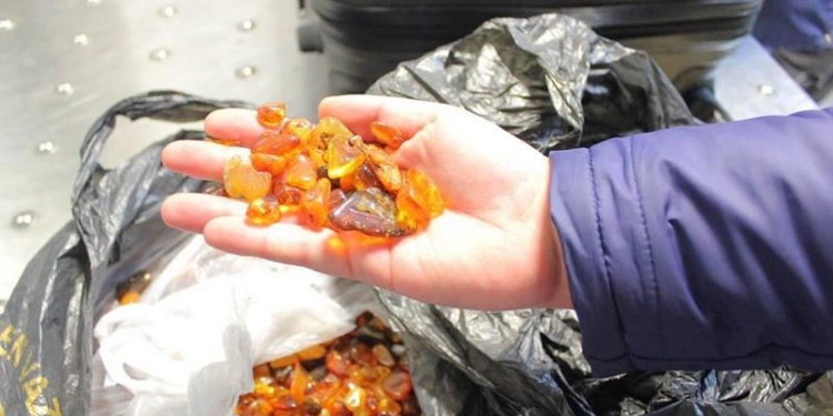 Граждане Турции пытались вывезти 15 кг янтаря – их задержали в аэропорту “Борисполь”