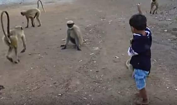 Почти Маугли. В Индии живет мальчик, которого обожают обезьяны 1