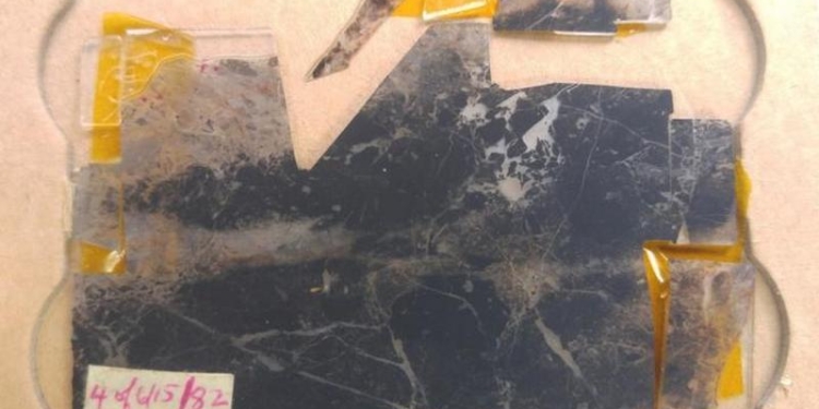 Ученые обнаружили окаменелости возрастом 3,5 миллиарда лет – это древнейшие следы жизни на планете