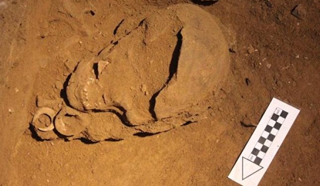 Археологи обнаружили останки древнейшего рыболова на Земле