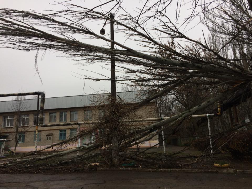 В Николаеве очередной тополь, который просили снести, рухнул – прямо на забор детского садика 4