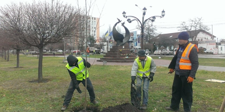 В Николаеве начали высаживать деревья – с такой «декабрьской» погодой можно