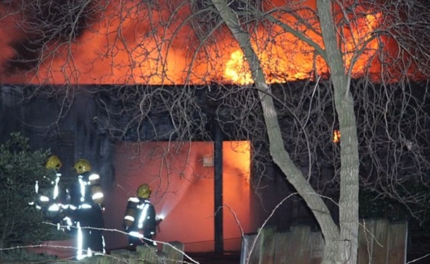 В Лондоне загорелся зоопарк, пожар угрожает вольерам с животными